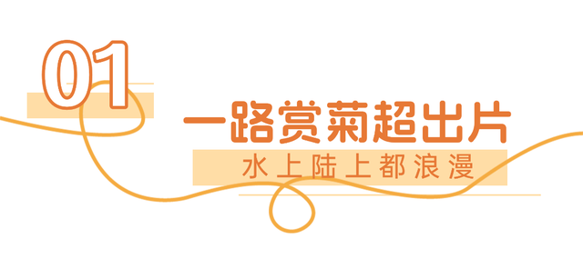 来汉口 逛江汉 | 已开幕，持续一个月！金秋菊展赏玩攻略来了