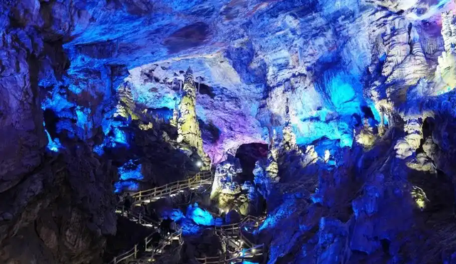 别等春天！陇南的冬日密语里，藏着限定版春日烂漫