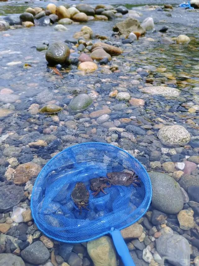 全免费！成都周边30min玩水抓螃蟹、露营野餐钓鱼烧烤！轻松安逸周末快冲！