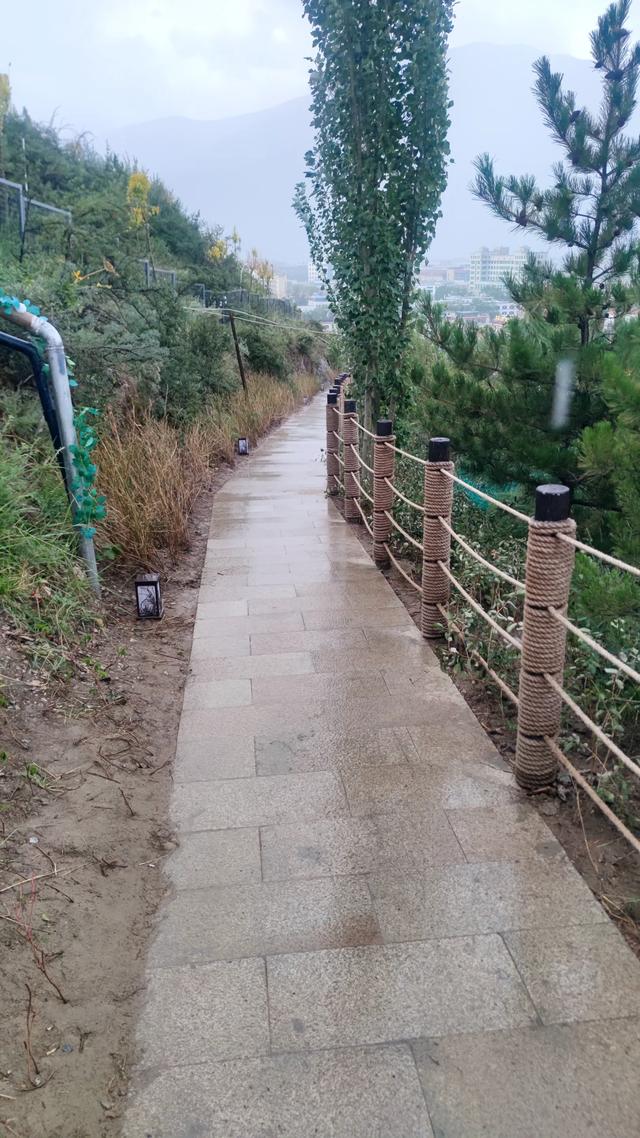 拉萨药王山北面团结公园，今年新竣工开放，雨中漫步眺望布达拉宫