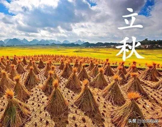 明日立秋，提醒大家：不管多忙，1不穿、2不睡、3不喝、4要吃