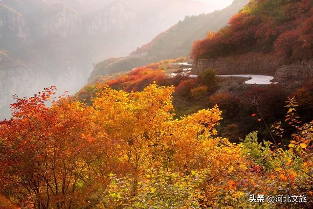 秋意正浓！是时候来石家庄平山开启一场秋日徒步了