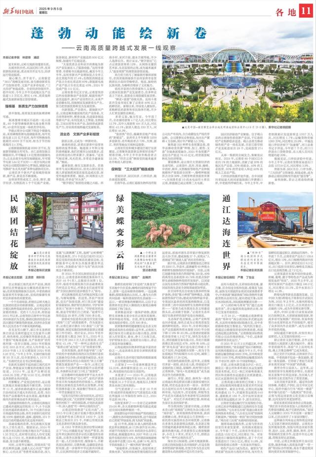 关注度拉满!央媒集中点赞旅居云南