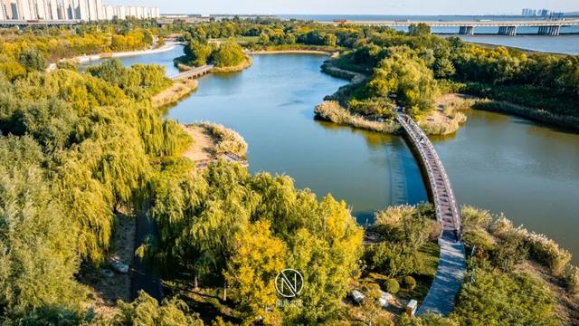 童话世界！深秋的生态城，美成了一幅画