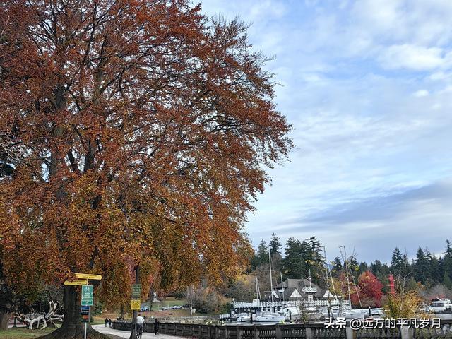 温哥华游记（一）