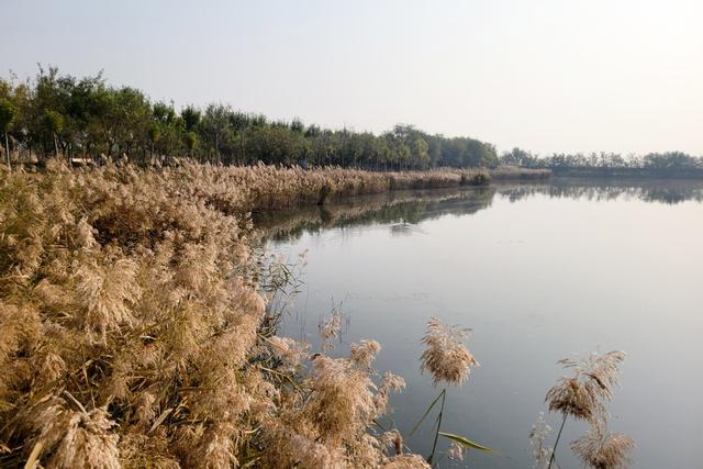 立冬，向暖而行