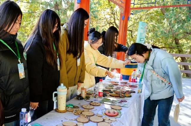 古树年轮里的故事，石景山等您来赴约