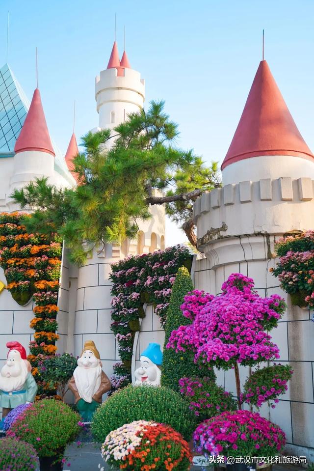 武汉今秋最大花展，限时一个月，免费！