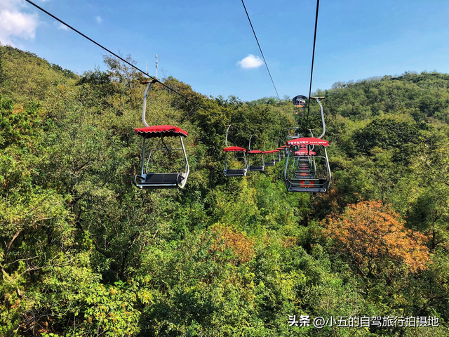 2025青岛炸裂攻略！14个神仙景点+3家必吃餐厅，11月限定活动错过