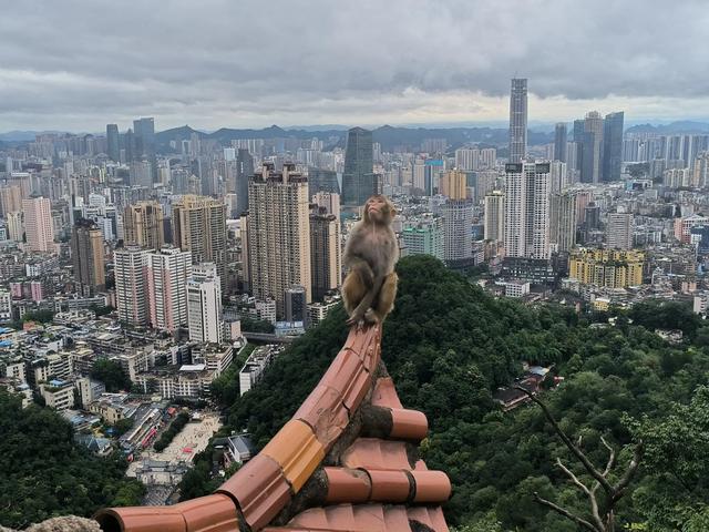 到贵阳的第一天 就被当地的两家星级宾馆所感动 真心强烈推荐