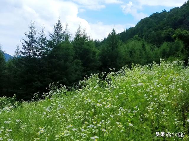 本溪小芹沟～五顶山～大西沟穿越｜说是休闲穿越，结果滑得摔P墩