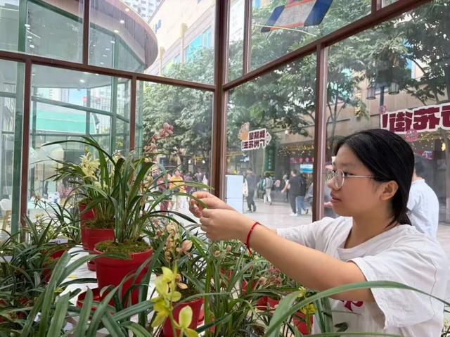 以兰为媒，龙岩连城深化广龙对口合作！