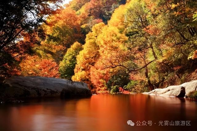 谁来管管光雾山啊！美得人挪不开眼🤩