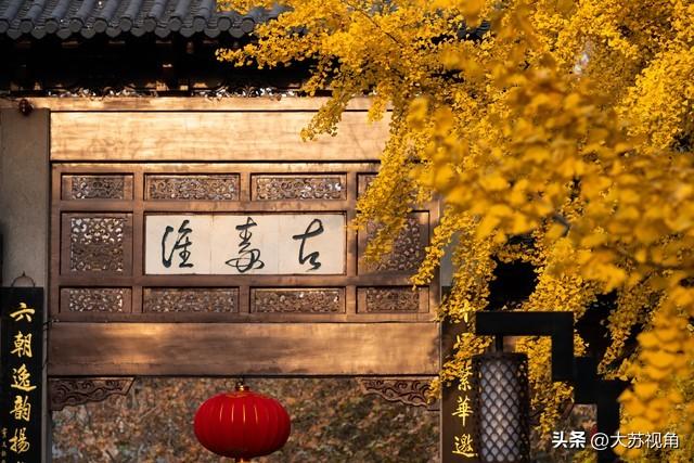 南京的浓颜是枫叶林给的！18个机位+时间点，避开人潮拍出大片