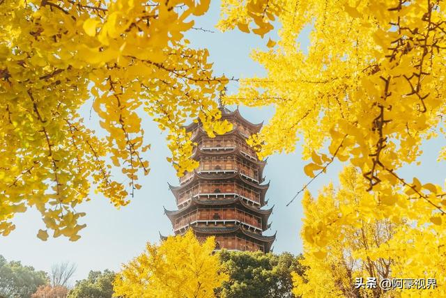 “最怕十月初一是晴天”，今日十月初一，晴天有啥预兆？