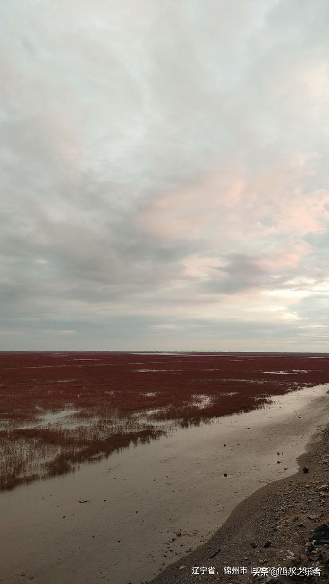 环游大东北之漫步锦州凌海红海滩