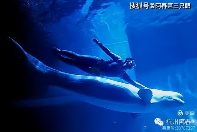 大连 之海洋世界
