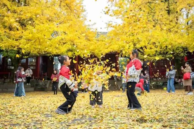 罨画池正在下一盘“大棋”
