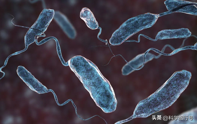 诞生于38亿年前的纳米机器人，揭秘地球上最强大的病毒“噬菌体”