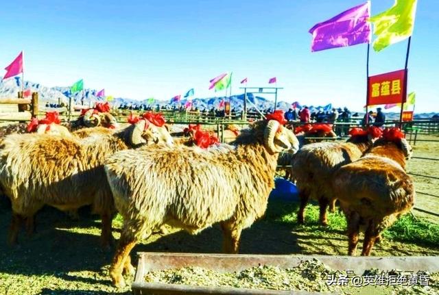 西行万象 醉美新疆