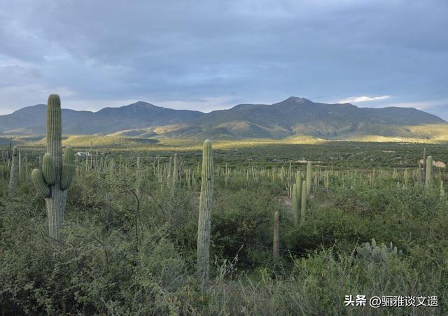 从北极万年游牧荒野，到赤道海洋湖泊群，42处世界双遗产极境之美