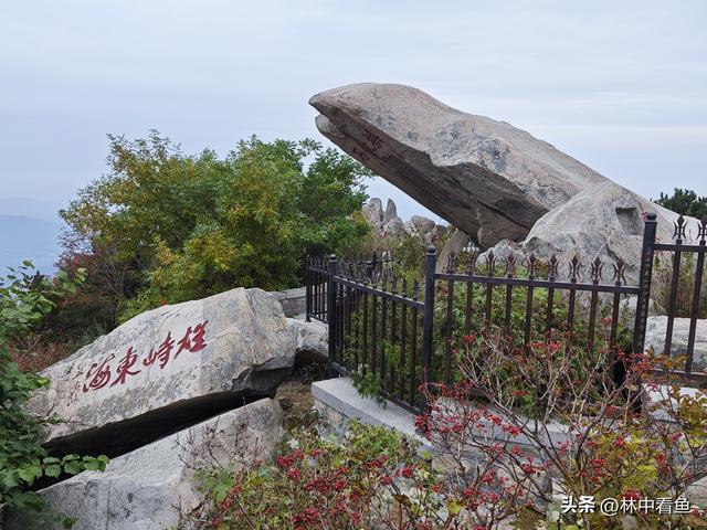 徒步登泰山之三——岱顶风光奇秀绝天下