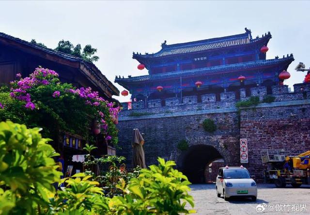 城门上奇葩的黄桷树 古城逆天了