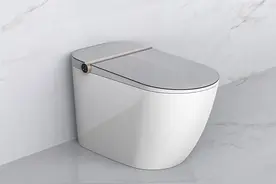 智能马桶功能最全解析，必备功能与鸡肋功能要知道，别只看颜值图片