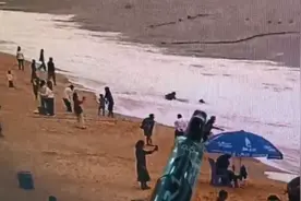 女子海边拍照被浪卷走！知名景区提醒图片