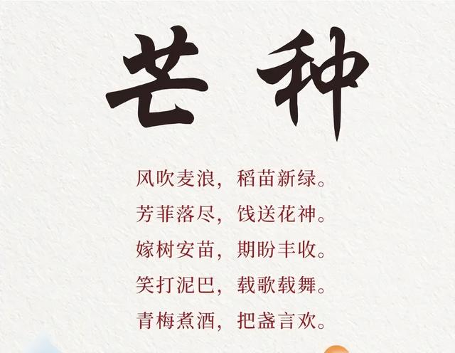 枣庄市文化馆2025年度精彩时刻（四）以文塑旅促融合 荣誉见证显担当