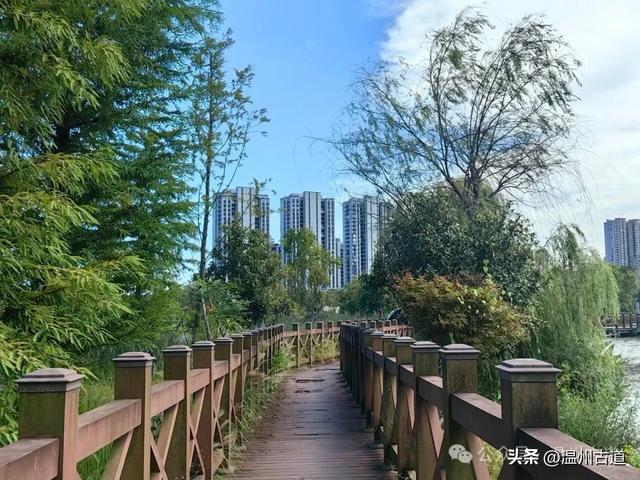 浙南最大的乡镇湿地公园原来在这里！