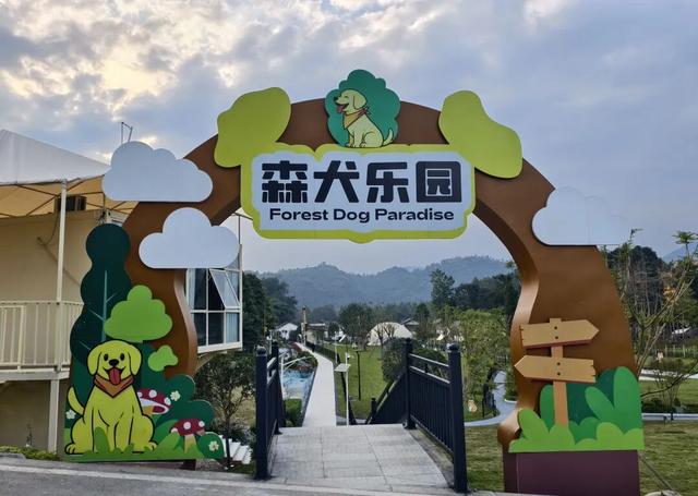 汪汪队！集合！