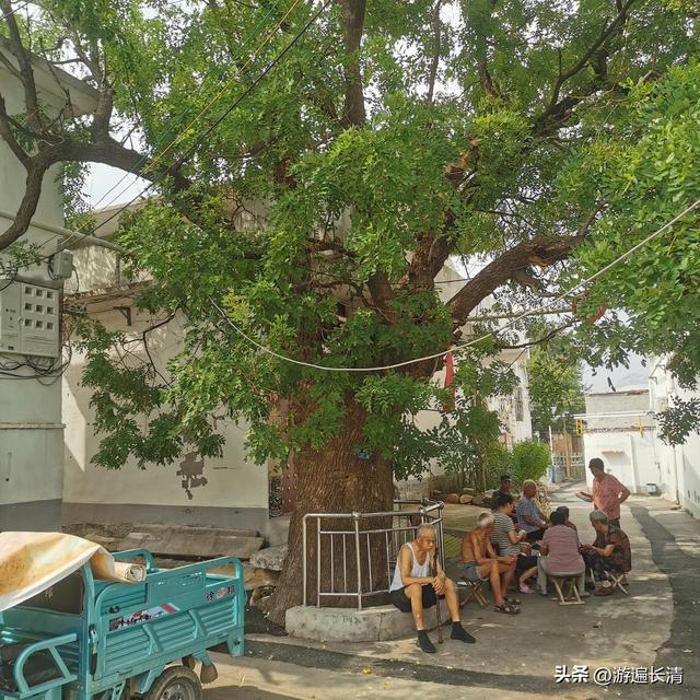 &057.泉水，惹人如此爱怜---玉符河沿途观景