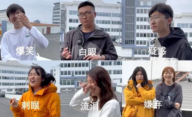 带全公司在冰岛玩10天有多爽?同事:人就不应该上班!