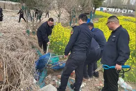 春季动物“焦躁”易伤人 惠济区开展流浪犬集中收容行动图片