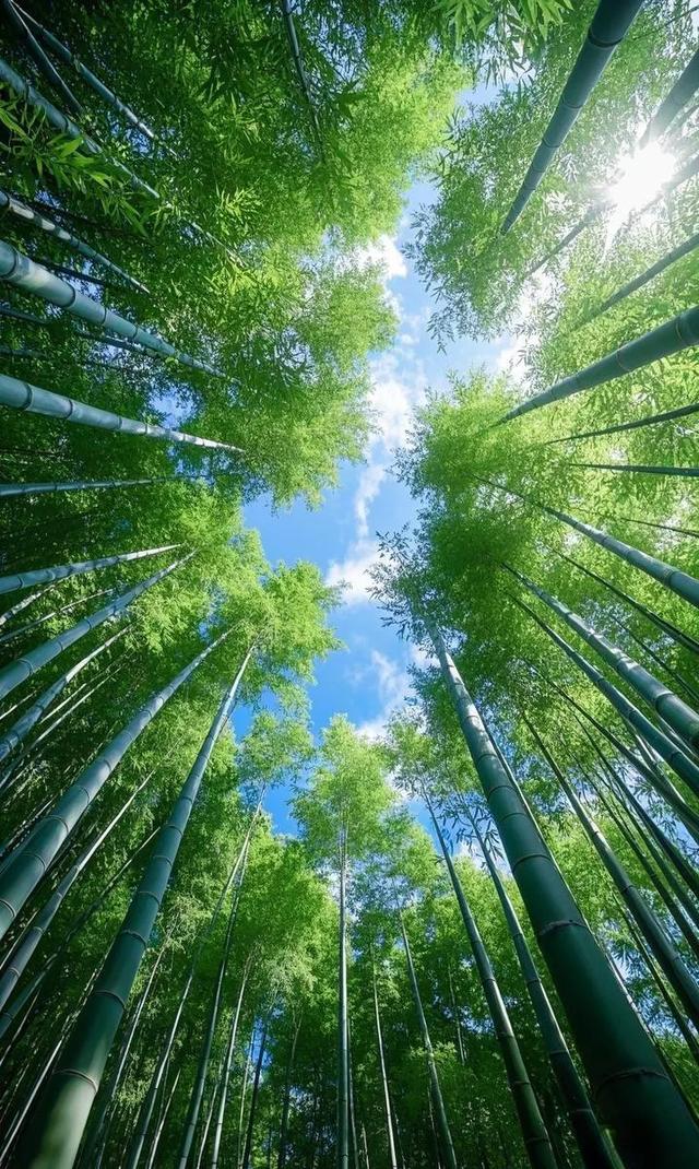 今日入伏，老人说最怕“入伏一日雨”，入伏天下雨有啥预兆？