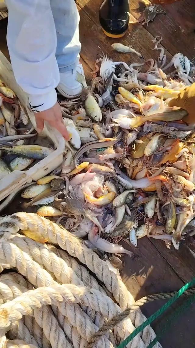 暑假最后半个月，如何旅行，才不留遗憾？