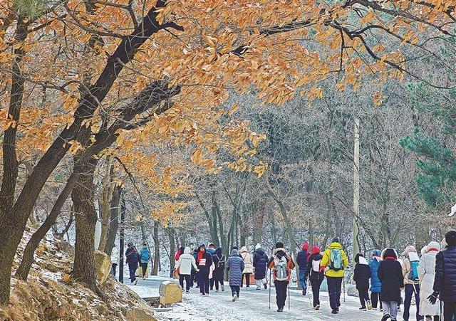 二〇二六登高 迈出新年第一步 赴山野之约 大连人步履向上