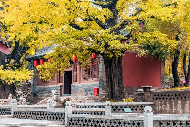 沿这5条高铁路线旅游红叶美极了，沿途解锁国内绝美秋色