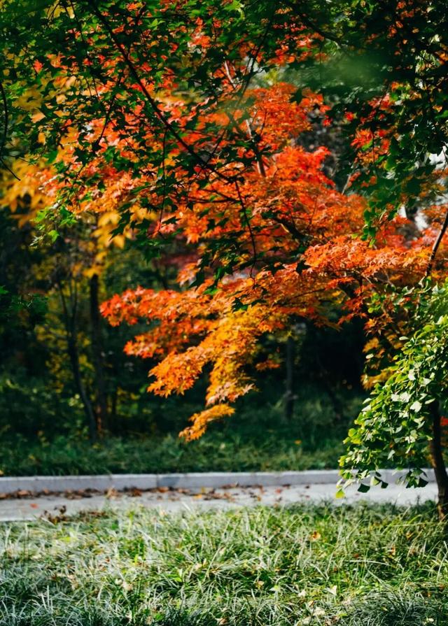 【多图预警！】这里不是5A景区，是鲁南制药！