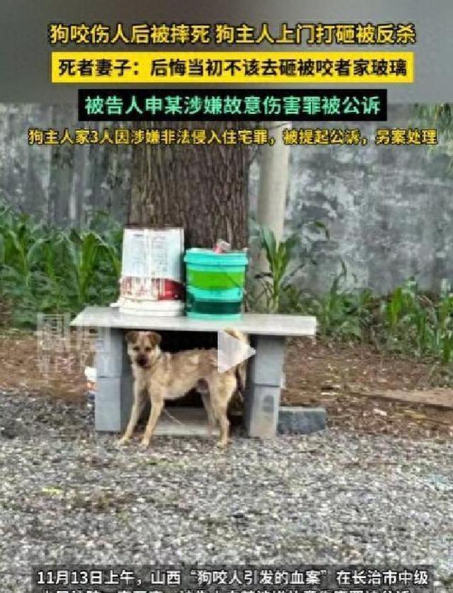 狗咬人反杀案越扒越深，曝死者妻子吞他人装修钱，惨案也与她有关