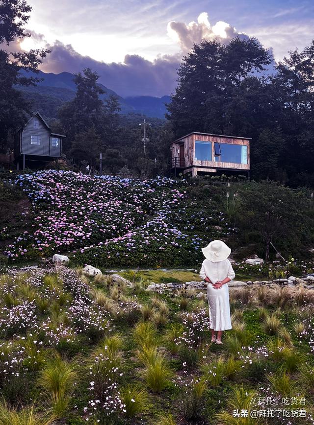 绣球花的夏天，不在南法在大理