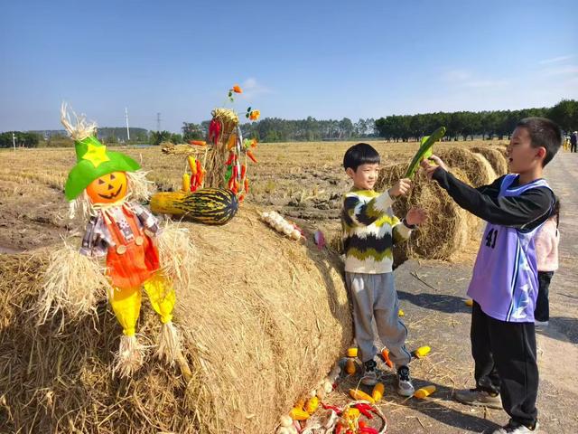 好“丰”景上线！平阳稻田里也有草垛“瑞士卷”