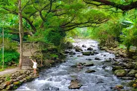 在广州我去过最舒服的徒步路线！可以徒步、溯溪、露营、钓鱼图片