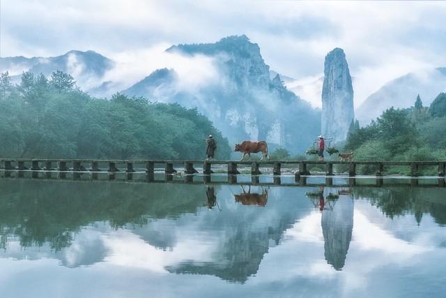 人这一辈子，最该学会的是和自己握手言和