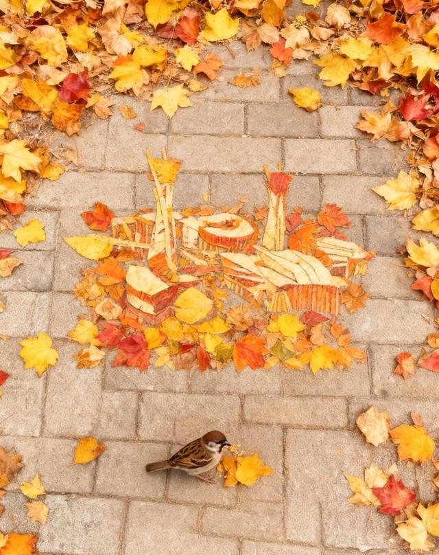 我捡，我捡，我在潍坊捡捡捡！