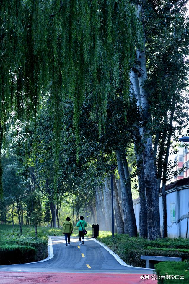 达活泉公园绿草如茵，碧波荡漾（图）