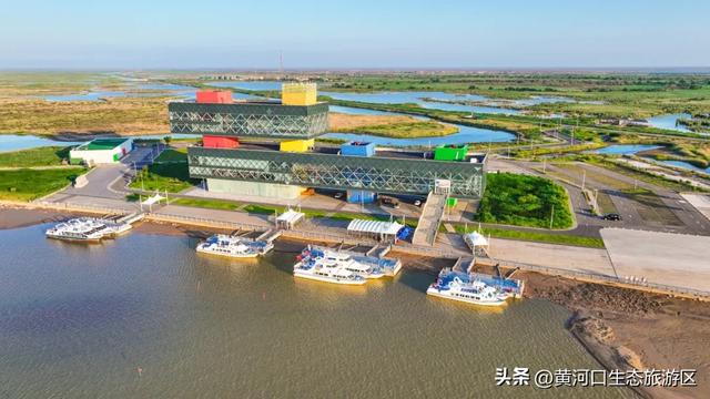 【黄河口生态旅游区】开学季 奔赴自然之美