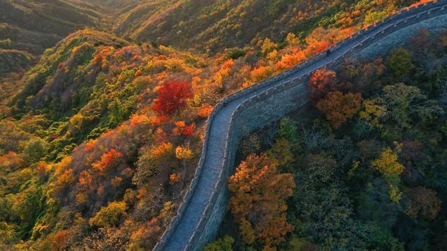 沿这5条高铁路线旅游红叶美极了，沿途解锁国内绝美秋色