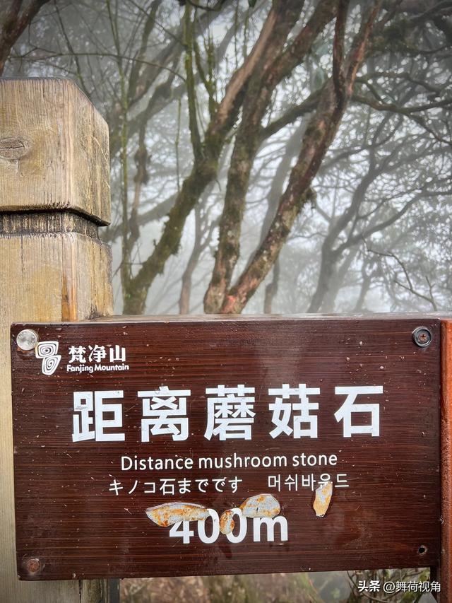 我的旅游日记三：登梵净山需要知道一些细节才能看到更美的风景